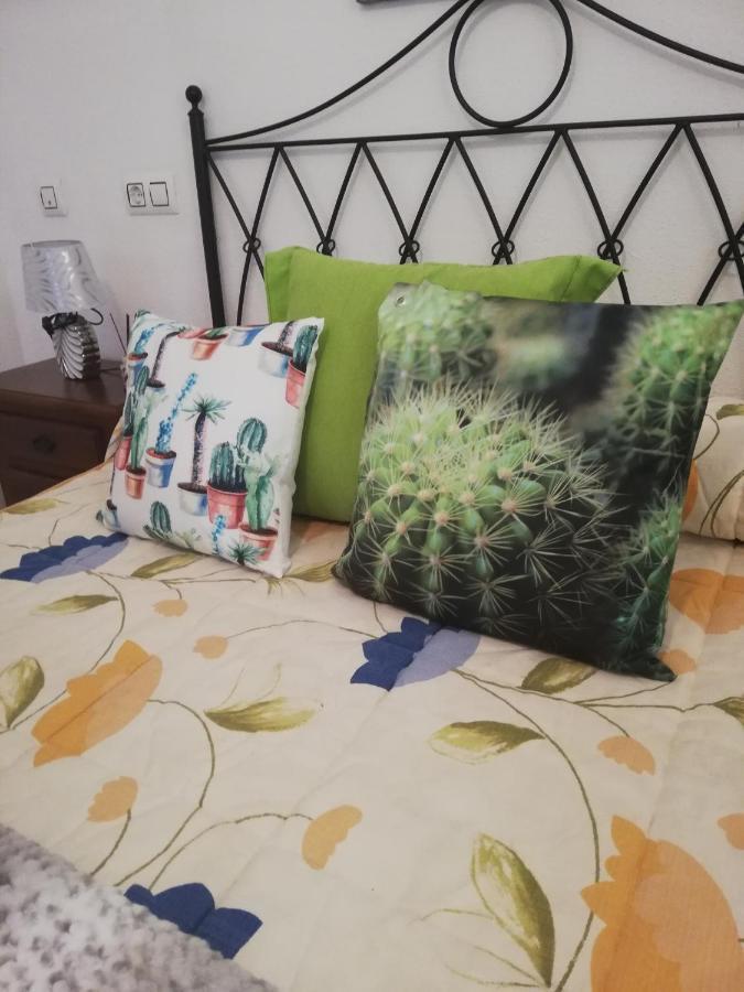 Apartamento Naturista En Primera Linea De Vera Playa!!! Лас-Бомбардас Экстерьер фото